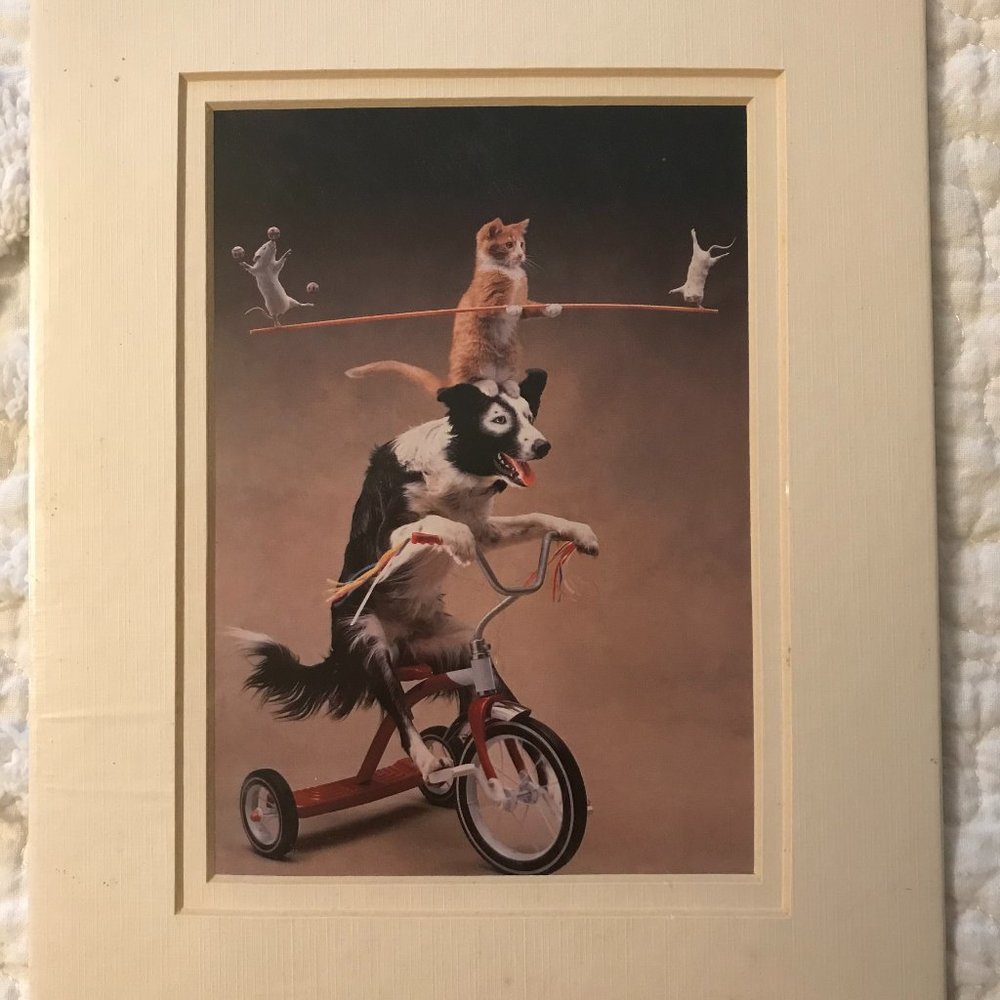 picture 8by10